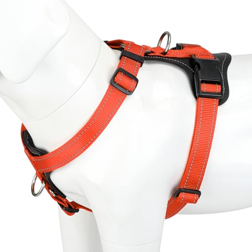 No Pull Dog Harness with Leather Accents (XL / Orange)