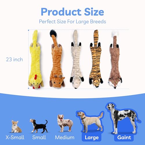 Dog Squeaky Toys 5 Pack (Large / Bubble Plush-5 Pack)
