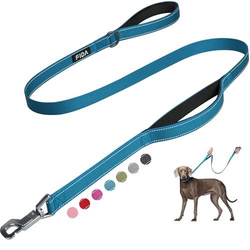 Heavy Duty Dog Leash for Medium Large Dogs (5 Feet (Pack of 1) / Blue)