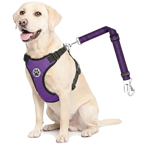 Dog Car Harness Seat Belt (XX-Small / Purple)