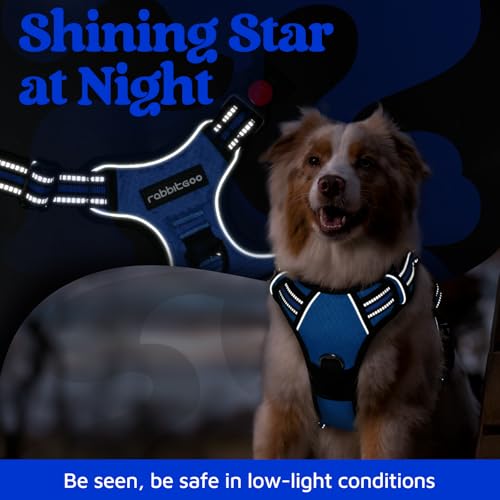Dog Harness Small Sized (Royal Blue / Small)