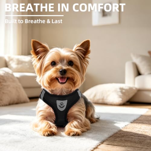 Dog Harness Collar and Leash Set No Pull for Small Medium Sized (Solid Black / M (CHEST 16"-18"))