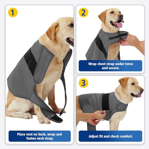 Dog Anxiety Vest for Dogs (Stormy Calm (Dark Gray) / X-Large)