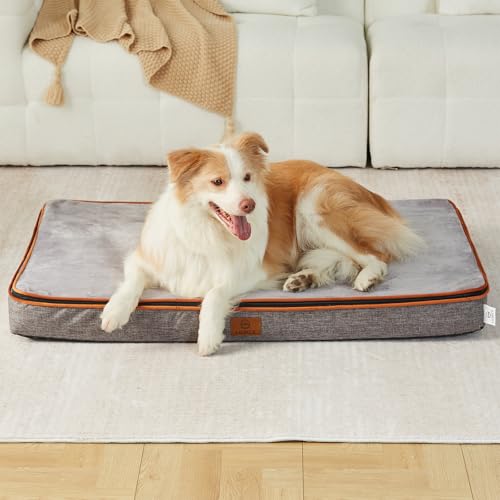 Memory Foam XL Dog Bed (41.0"L x 27.0"W x 4.0"Th / Light Grey)