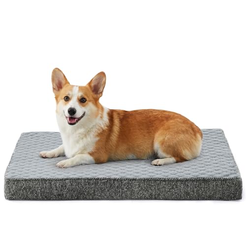 Orthopedic Medium Dog Bed (M(29"x18") / Light Grey)