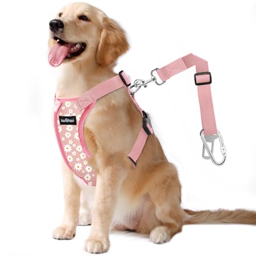 Dog Seat Belt (Pink Daisy / L (Chest: 22-32.3", Neck: 16.9-26"))