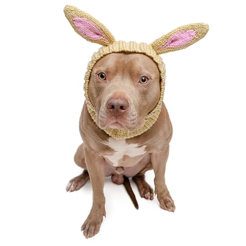 Jack Rabbit Costume (Large)