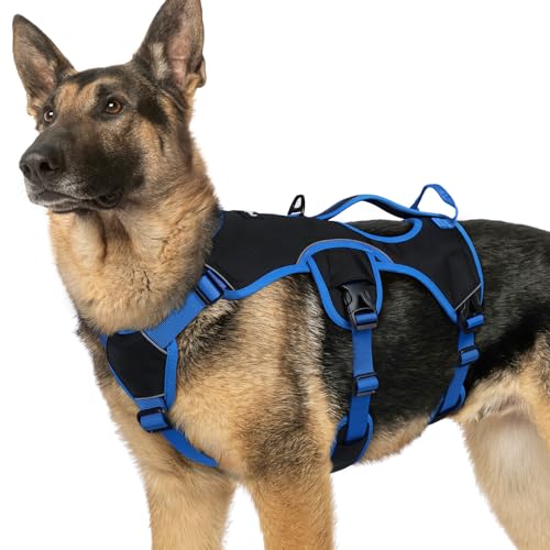 Escape Proof Dog Harness for X (Blue & Black / X-Large)