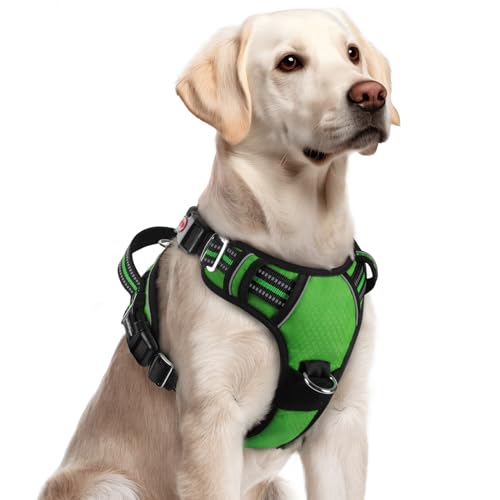 Dog Harness for Large (Green / Large)
