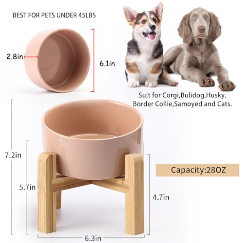 Khaki Elevated (Khaki / 3.6 CUPS - Medium Dog Bowls)