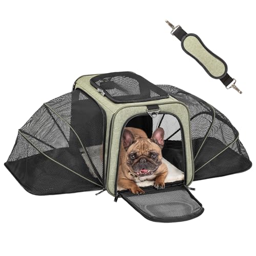 Large Double Expandable Cat Carrier for Large Cats and Small Dogs (19.0"L x 12.0"W x 12.0"H / Green)
