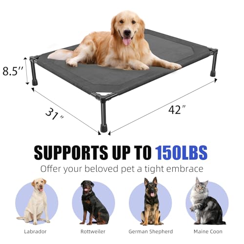 Elevated Dog Bed for Large Dogs (42"L x 31"W x 8.5"Th / Black)