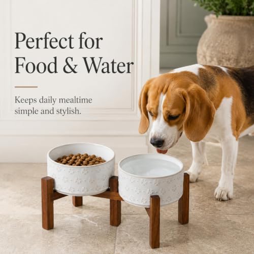 Elevated Dog Bowls (Double Bowls with Stand- Arctic White / 3.4CUPS)