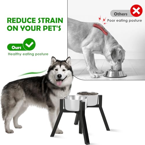 Elevated Dog Bowl Stand for Large Dogs (Height: 11", Width: 7-10.6" / Black, 2-in-1, 11H-Square)