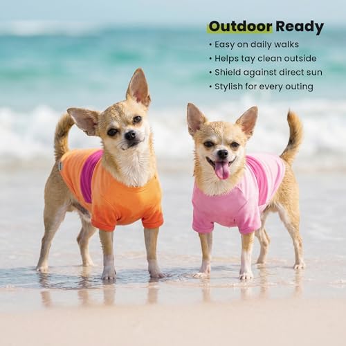 3 Pack Color Block Striped Dog Shirt (X-Large / Pink-Orange-Purple)