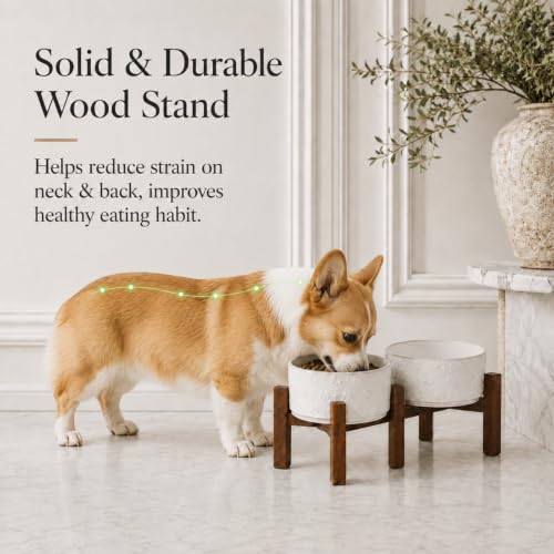 Elevated Dog Bowls (Double Bowls with Stand- Arctic White / 3.4CUPS)