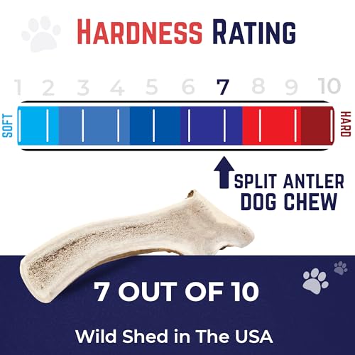 Split Elk Antlers for Dogs (split - Medium - 1 Pack)