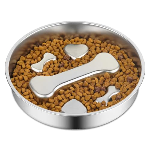 Stainless Steel Slow Feeder Dog Bowls