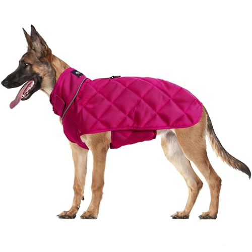 Weighted Dog Vest (Red / Small)