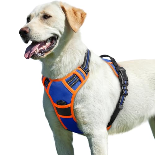 Dog Harness for Large Dogs (Large / Blue & Orange)