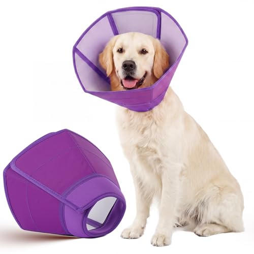 Dog Recovery Cone Waterproof Plastic Elizabethan Collar Purple L (Purple / Large)