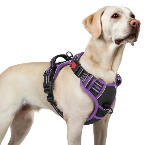 Dog Harness for Large (Large / Black & Purple)