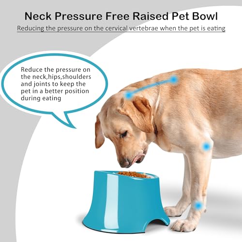 Tilted Elevated Dog Bowls Non (M/2 Cup / Grass Blue)