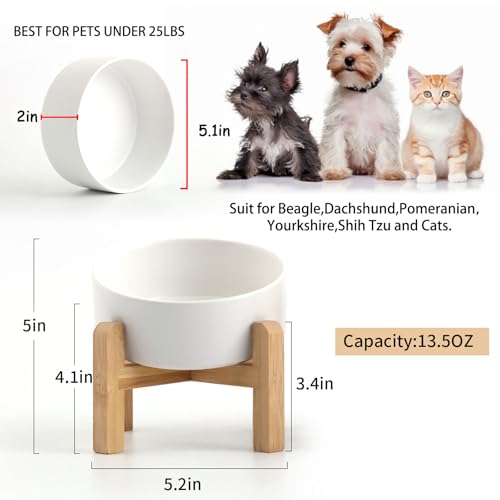 White Raised Elevated 15°Slanted Ceramic Dog Bowl for Small Breeds (White / 1.7 CUPS - Puppy/Small Dogs & Cat Bowls)