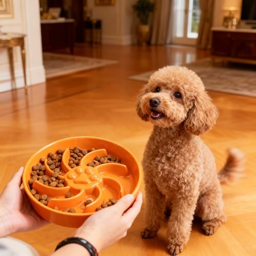 Ceramic Slow Feeder Dog Bowl (Orange)