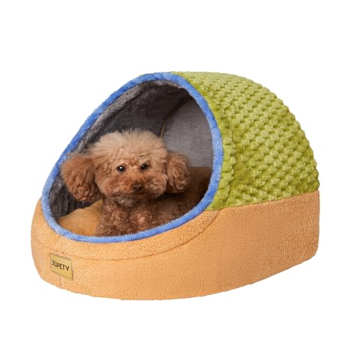 Cute Cat Beds for Indoor Cats (Large / Green)
