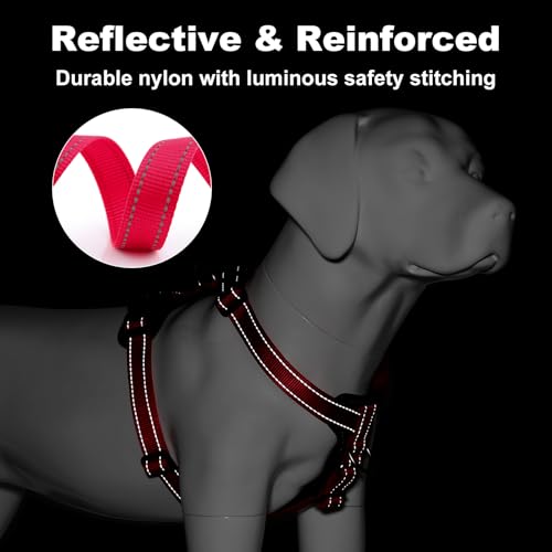 No Pull Dog Harness with Leather Accents (M / Red)