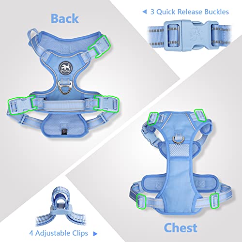 No Pull Dog Harness (XL / Light Blue(Matching Trim))