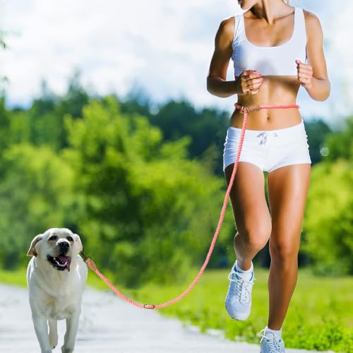 Hands Free Dog Leash (Coral Red / 7FT Hands Free)