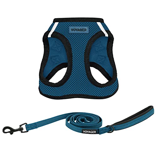 Voyager Step in Air All Weather Mesh Harness and Reflective Dog 5ft Leash Combo with Neoprene Handle (Blue/Black Trim / M (Chest: 16 - 18"))