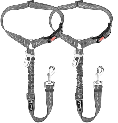 Dog Seat Belt for Car (D.Grey)