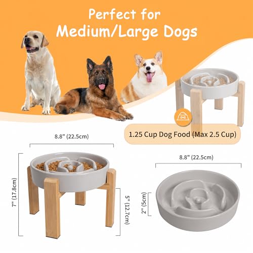 Elevated Slow Feeder Dog Bowl (Grey / 3.2 Cup（New） with Stand)
