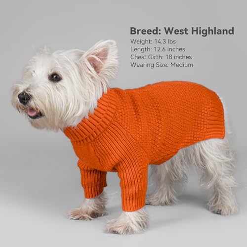 Dog Sweater Long Sleeve Knitted Turtleneck Pullover Warm Clothes (Orange / X-Large)