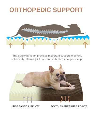 Orthopedic Dog Bed for Medium Dogs with Waterproof Lining (Brown / 29.0"L x 18.0"W x 3.0"Th)