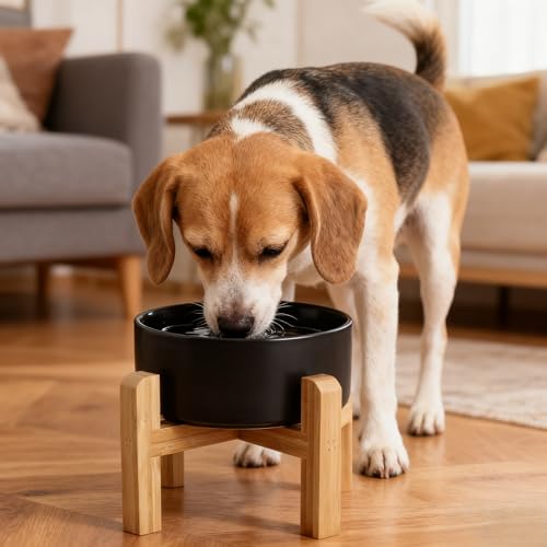 Elevated Raised Ceramic Dog Bowl with Bamboo Stand (Black / Medium)