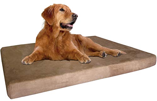 Extra Large True Orthopedic Gel Memory Foam Dog Bed (47X29X4 Inch Extra Large / MicroSuede in Brown)