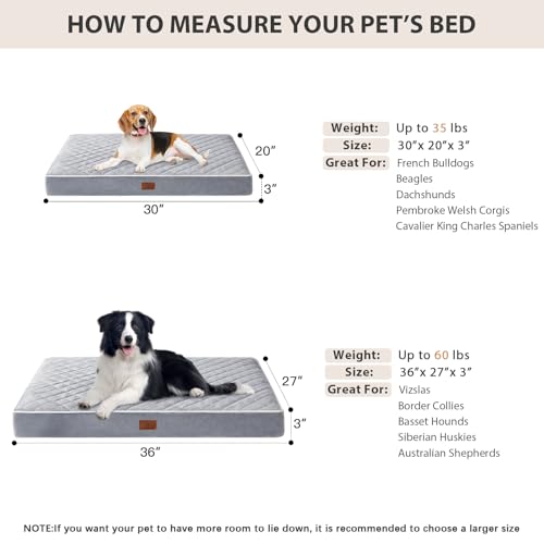 Orthopedic Waterproof Dog Bed Medium for Comfy Sleeping (Light Grey / 30"L x 20"W x 3"Th)