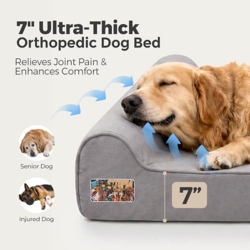 Orthopedic Dog Beds for Extra Large Dogs (XX-Large / Style C-Grey)