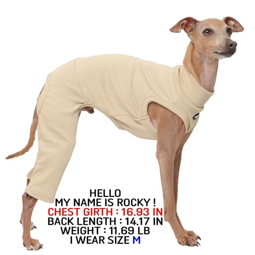 D Doggy Star Italian Greyhound Clothes High (L / COORDI BEIGE)