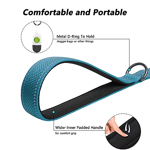 6FT Heavy Duty Dog Leash with Soft Padded Double Handle (6 FT x 1 in Wide / Blue)