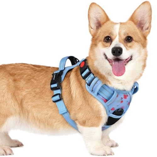 Dog Harness Small Sized (Small / Floral Blue)