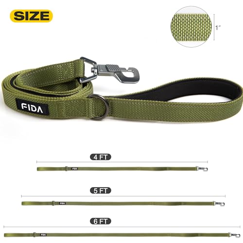 Heavy Duty Dog Leash for Medium Large Dogs (6 Feet (Pack of 1) / Green)