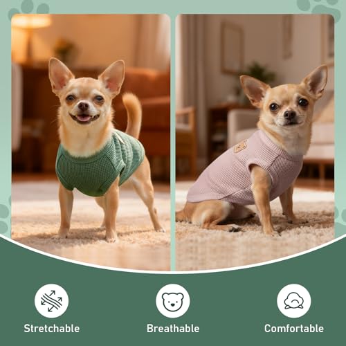 Dog Clothes for Small Dogs (Green&Pink / XX-Large(18.1-23lb))