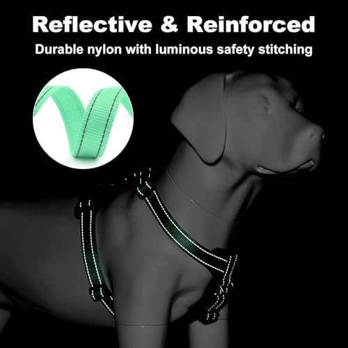No Pull Dog Harness with Leather Accents (L / Teal)