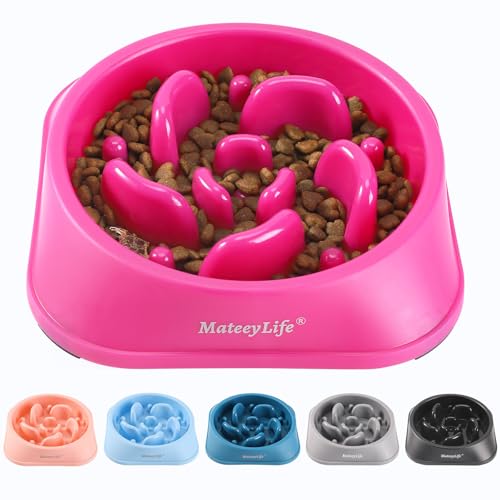 1 Pack Slow Feeder Dog Bowls (J-Purple / Medium)
