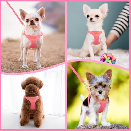 No Pull Dog Harness with Leash for Small Medium Dogs (XX-Small(2.2-6lb) / Solid Pink)